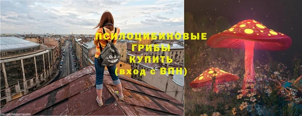 СК Алексеевка
