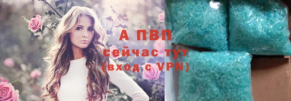 соль ск Алексин