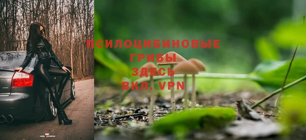 СК Алексеевка