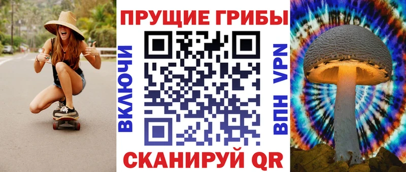 Галлюциногенные грибы Psilocybine cubensis  Рубцовск 